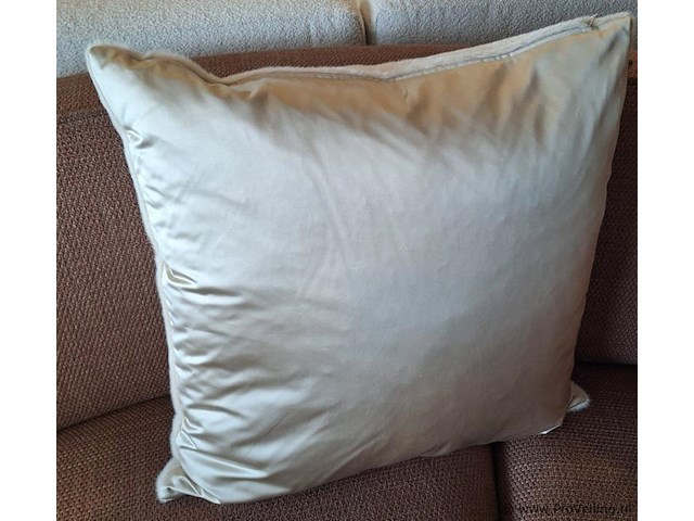 Claudi sierkussen benji - 60x60cm - afbeelding 1 van  3