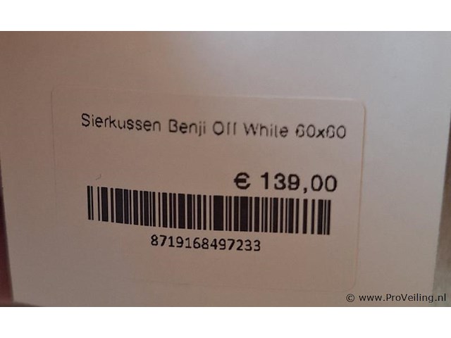 Claudi sierkussen benji - 60x60cm - afbeelding 2 van  3