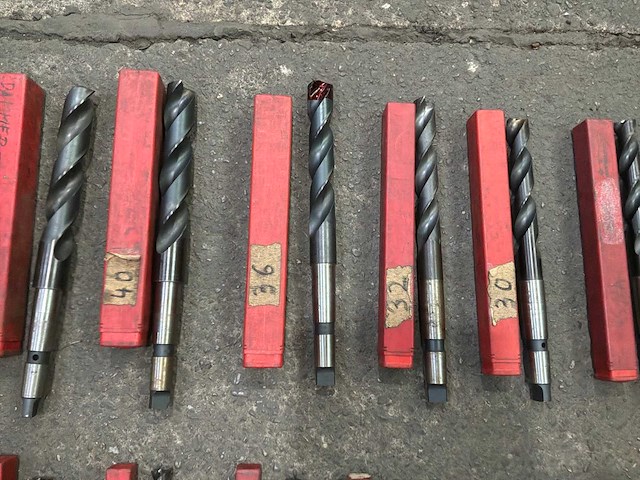 Cleveland diverse morseconusboren (14x) - afbeelding 2 van  6