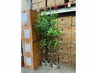 Coco maison tropaeolum speciosum 210cm (3x) - afbeelding 2 van  4