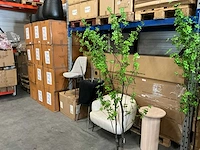 Coco maison tropaeolum speciosum 210cm