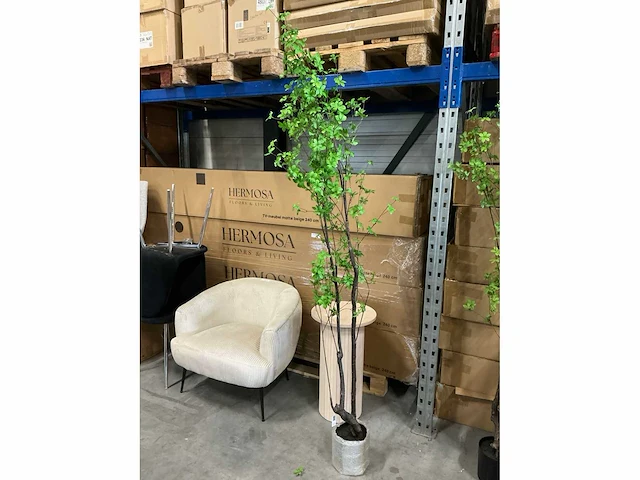Coco maison tropaeolum speciosum 210cm - afbeelding 2 van  3