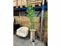 Coco maison tropaeolum speciosum 210cm - afbeelding 2 van  3