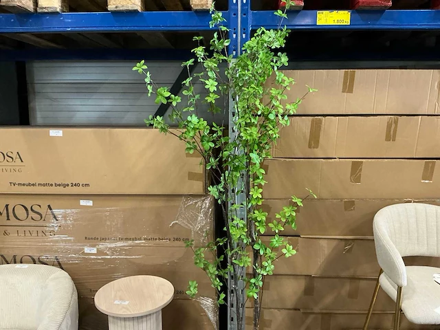 Coco maison tropaeolum speciosum 210cm - afbeelding 1 van  2