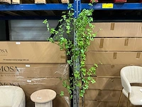 Coco maison tropaeolum speciosum 210cm