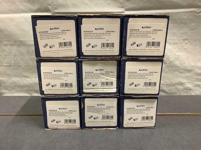 Cofan stalen zeskantige m-8 blinde moeren (2250x) - afbeelding 1 van  3