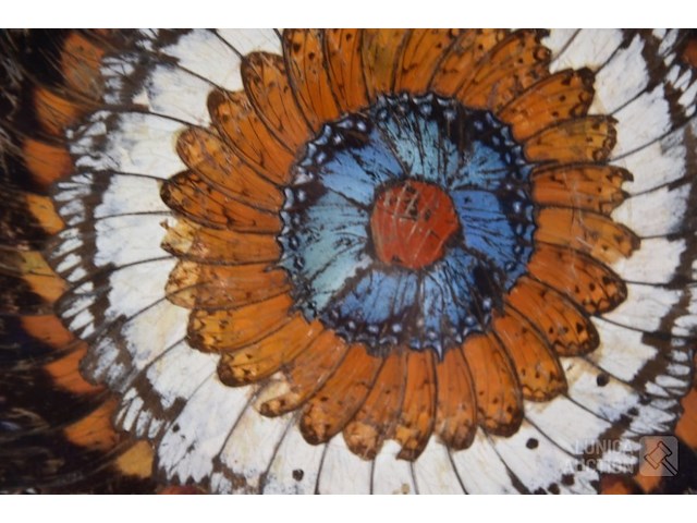 Collage kunstwerk - afbeelding 2 van  8