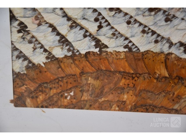 Collage kunstwerk - afbeelding 4 van  8