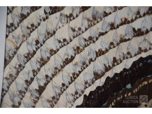 Collage kunstwerk - afbeelding 5 van  8