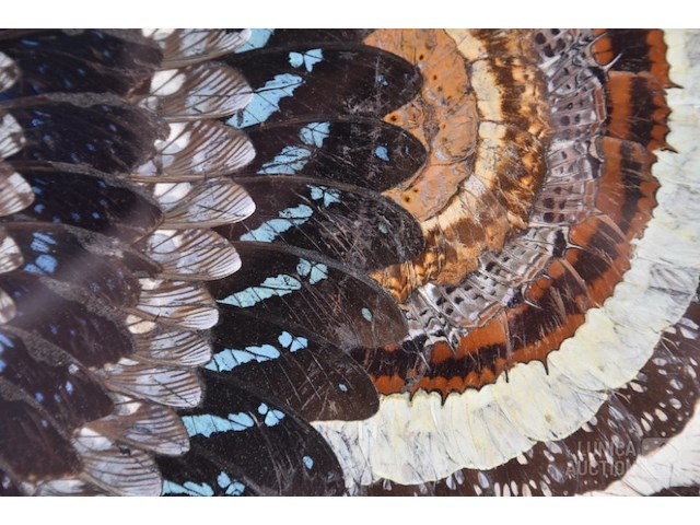 Collage kunstwerk - afbeelding 7 van  8