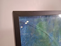Collage, maya wildevuur, vissen - afbeelding 5 van  8