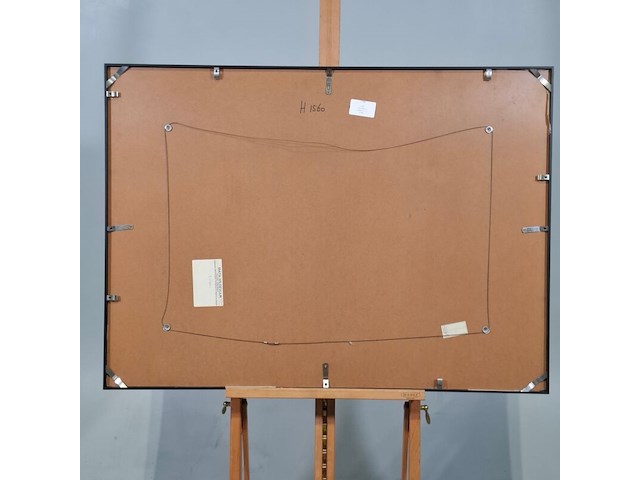 Collage, maya wildevuur, vissen - afbeelding 7 van  8