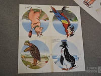 Collectie proefdrukken - afbeelding 2 van  7