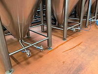Combinatiekavel 2 en 3: 2023 ant systems fermentatie tank (15x) - afbeelding 3 van  13