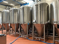 Combinatiekavel 2 en 3: 2023 ant systems fermentatie tank (15x) - afbeelding 4 van  13