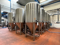 Combinatiekavel 2 en 3: 2023 ant systems fermentatie tank (15x)