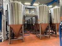 Combinatiekavel 2 en 3: 2023 ant systems fermentatie tank (15x) - afbeelding 6 van  13