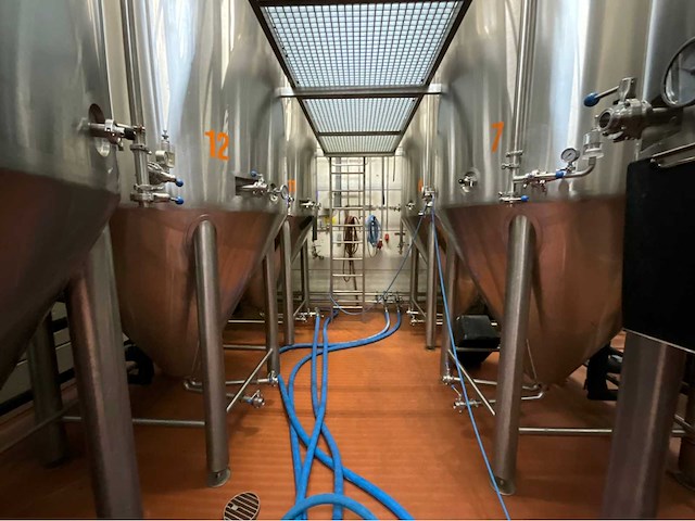 Combinatiekavel 2 en 3: 2023 ant systems fermentatie tank (15x) - afbeelding 12 van  13