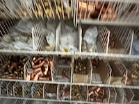 Combinatiekavel van kavel: 115 t/m 117 - afbeelding 59 van  72