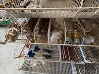 Combinatiekavel van kavel: 115 t/m 117 - afbeelding 66 van  72