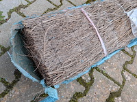 Combinatiekavel van kavel: 164 t/m 167 - afbeelding 16 van  22