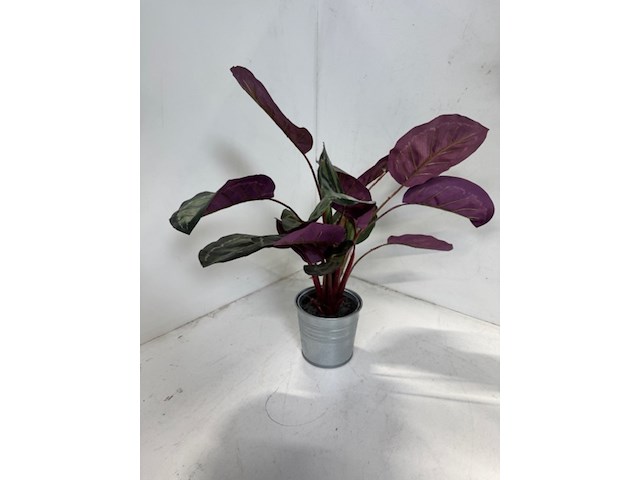 Combinatiekavel van kavel: 167 en 168 - afbeelding 4 van  19