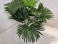 Combinatiekavel van kavel: 167 en 168 - afbeelding 5 van  19