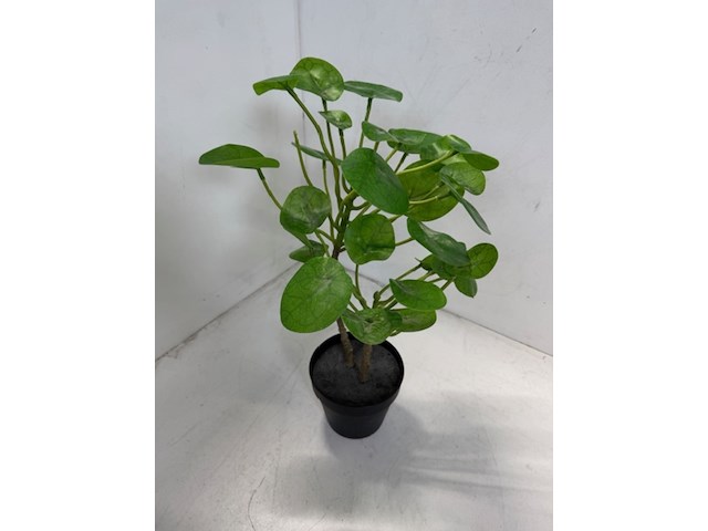 Combinatiekavel van kavel: 167 en 168 - afbeelding 7 van  19