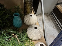 Combinatiekavel van kavel: 167 en 168 - afbeelding 8 van  19