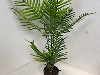 Combinatiekavel van kavel: 167 en 168 - afbeelding 19 van  19