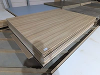 Combinatiekavel van kavel: 271 t/m 279 - afbeelding 71 van  264