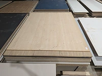 Combinatiekavel van kavel: 271 t/m 279 - afbeelding 240 van  264