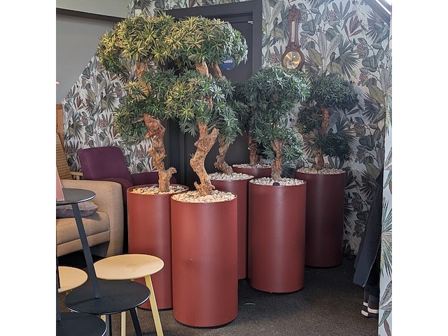 Combinatiekavel van kavel: 36 t/m 38 - afbeelding 1 van  15