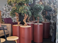 Combinatiekavel van kavel: 36 t/m 38 - afbeelding 1 van  15