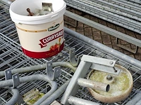 Combinatiekavel van kavel: 59 t/m 62 - afbeelding 5 van  29