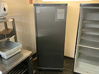 Combisteel vriezer ( 570 liter ) - afbeelding 1 van  5