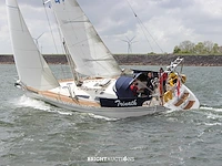 Comfortina 42 - afbeelding 11 van  90