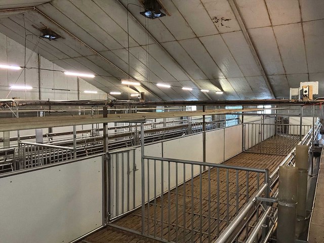 Compleet (varken) stalinrichting 105 x 28 - afbeelding 3 van  15