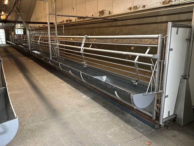 Compleet (varken) stalinrichting 105 x 28 - afbeelding 5 van  15