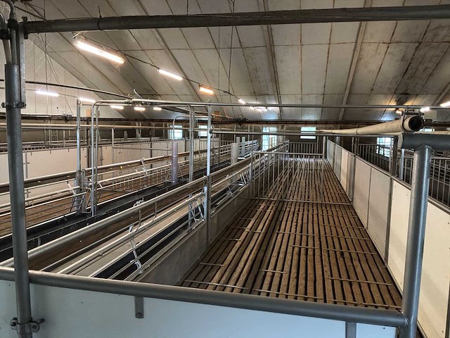 Compleet (varken) stalinrichting 105 x 28 - afbeelding 7 van  15