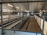 Compleet (varken) stalinrichting 105 x 28 - afbeelding 7 van  15