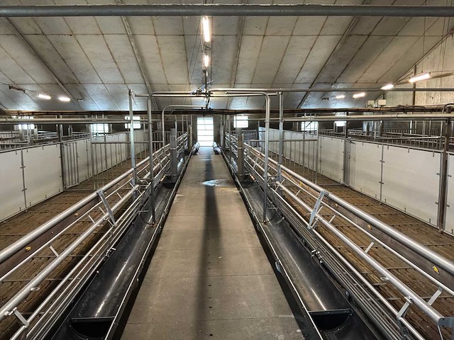 Compleet (varken) stalinrichting 105 x 28 - afbeelding 1 van  15