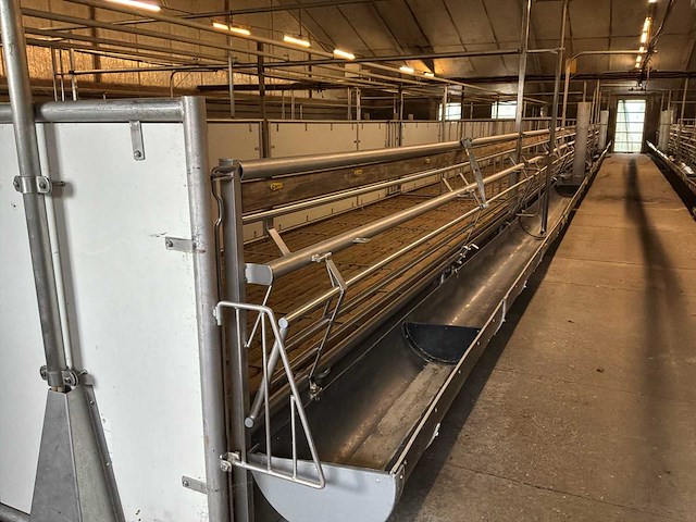 Compleet (varken) stalinrichting 105 x 28 - afbeelding 9 van  15