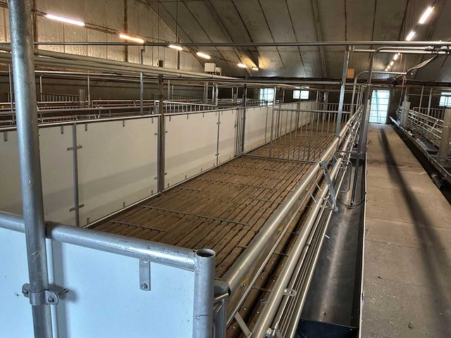 Compleet (varken) stalinrichting 105 x 28 - afbeelding 10 van  15
