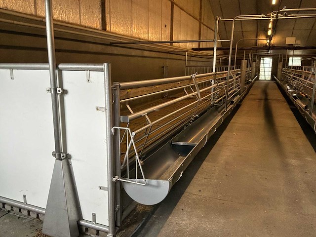Compleet (varken) stalinrichting 105 x 28 - afbeelding 13 van  15
