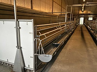 Compleet (varken) stalinrichting 105 x 28 - afbeelding 13 van  15