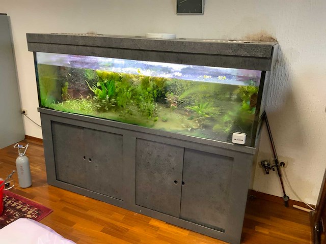 Complete inhoud directiekantoor 2 - afbeelding 13 van  18