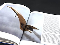 Concorde - afbeelding 4 van  5