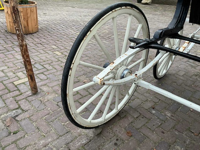 Concours spider 2 span - afbeelding 15 van  30