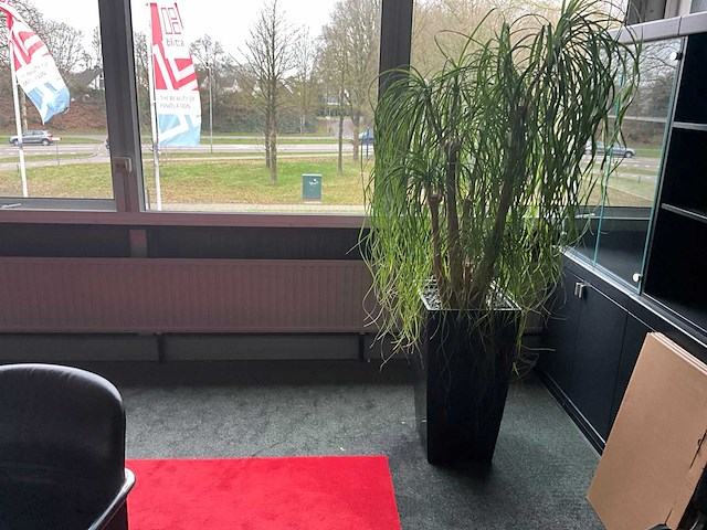 Conferentieopstelling + zuilen, planten en whiteboard - afbeelding 2 van  7